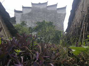 Ancient Village Adventure