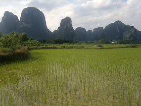 Ancient Village Adventure