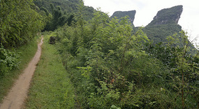 Secret Beach & Stone Bridge Sunday Roast