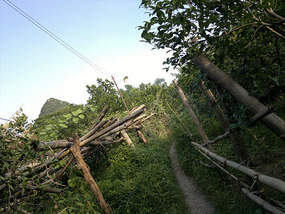 Yangshuo Ancient XingPing Ride