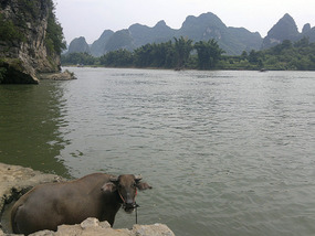 Yangshuo Ancient XingPing Ride