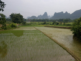Yangshuo Ancient XingPing Ride