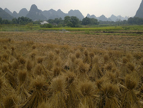 Yangshuo Ancient XingPing Ride