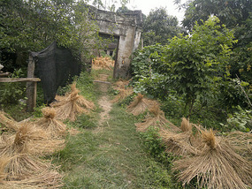 Yangshuo Ancient XingPing Ride