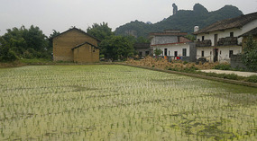 Yangshuo Ancient XingPing Ride