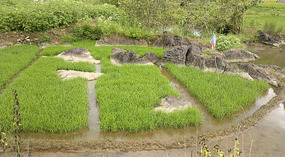 Yangshuo Ancient XingPing Ride
