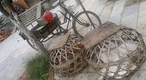 Yangshuo Ancient XingPing Ride