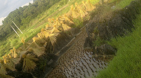 Yangshuo Ancient XingPing Ride