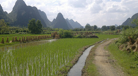 Yangshuo Yangdi Village Ride