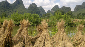 Yangshuo Yangdi Village Ride