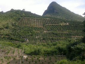 Yangshuo Yangdi Village Ride