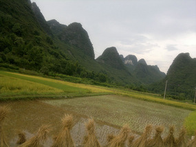 Yangshuo Yangdi Village Ride