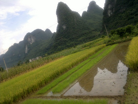 Yangshuo Yangdi Village Ride