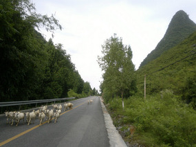 Yangshuo Yangdi Village Ride