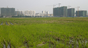 Tiny Tianyang...Big Beery Catchup