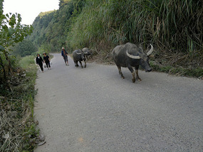 Pagoda Hill & Temple Lake Ride