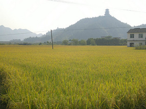 Pagoda Hill & Temple Lake Ride