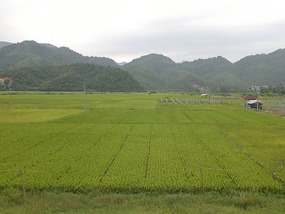 HuaQiao & XinYing Villages