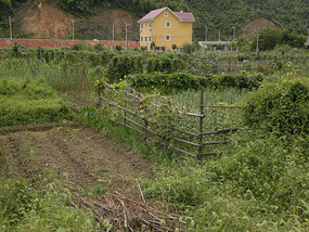 HuaQiao & XinYing Villages