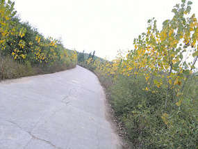 White Wash Village Adventures