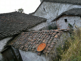 White Wash Village Adventures