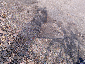 White Wash Village Adventures