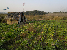 DiaozhongXing Village Adventures