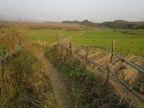 DiaozhongXing Village Adventures