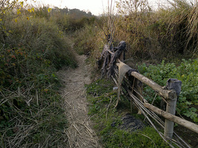 DiaozhongXing Village Adventures