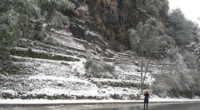 Happy Snowy New Year