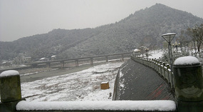 Happy Snowy New Year
