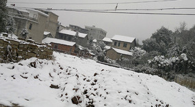 Happy Snowy New Year