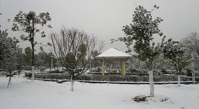 Happy Snowy New Year