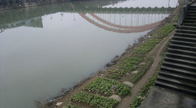Jishui Reflective River Walk