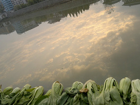 Jishui Reflective River Walk