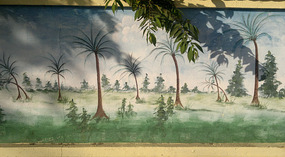 Sanyas Construction Walls