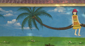 Sanyas Construction Walls