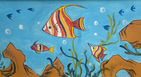 Sanyas Construction Walls