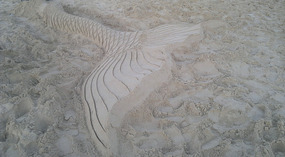 Hainan Island Dadonghai Adventure