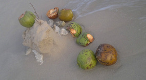 Hainan Island Dadonghai Adventure