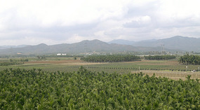 Yacheng 'String Bean' Town Adventure