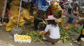 Yacheng 'String Bean' Town Adventure