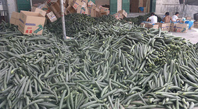 Yacheng 'String Bean' Town Adventure