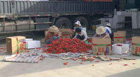 Yacheng 'String Bean' Town Adventure
