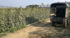 Yacheng 'String Bean' Town Adventure