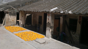 Yacheng 'String Bean' Town Adventure