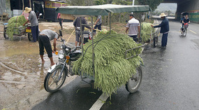 Yacheng 'String Bean' Town Adventure