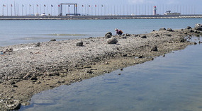 Serenity Coast to Dadonghai Bay Adventure