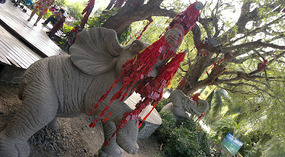 Nanshan Cultural Park & Temple Adventure
