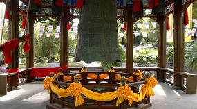 Nanshan Cultural Park & Temple Adventure